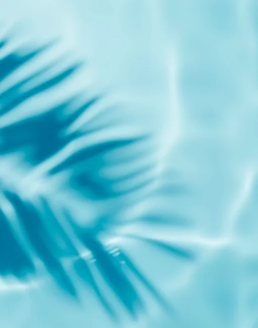 abstract-tropical-leaf-shadow-on-water-surface-2026-01-07-23-53-14-utc