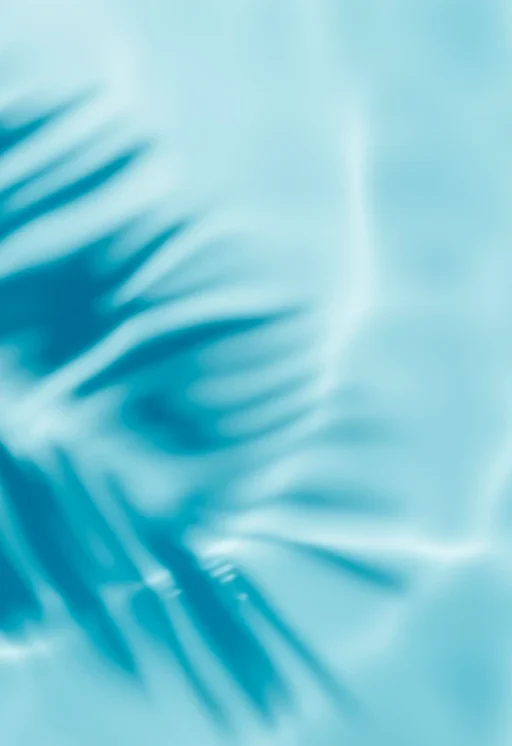 abstract-tropical-leaf-shadow-on-water-surface-2026-01-07-23-53-14-utc