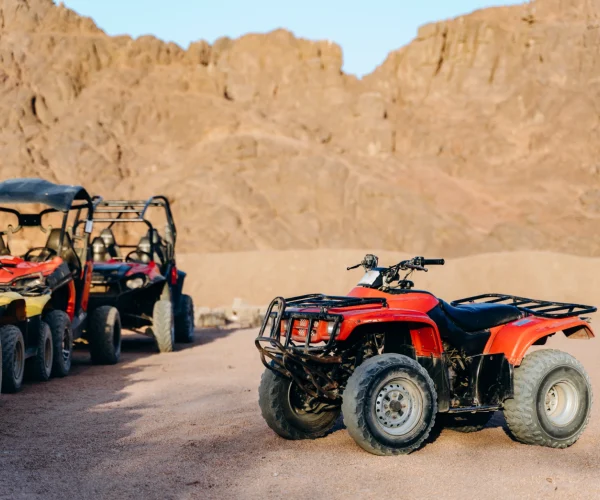 group-of-atvs-and-motorbikes-lined-up-ready-to-go-2026-03-10-04-48-09-utc