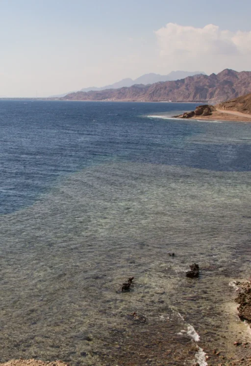 the-coastline-of-the-red-sea-with-small-resorts-an-2026-03-24-07-42-19-utc
